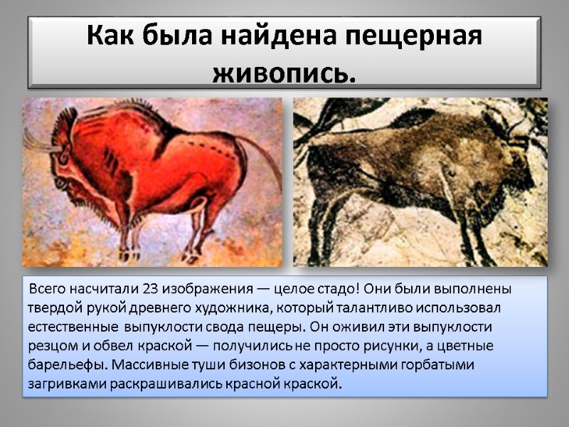 Всего насчитали 23 изображения — целое стадо! Они были выполнены твердой рукой древнего художника,